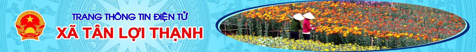 Site banner